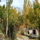 Sanctuary Resort Hunza, Hunza - Fotografie 4