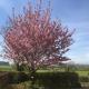 Everdon Hill House - B&B, Great Everdon (fotografie 4)