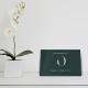 Reigate - Lovely modern serviced apartment, Reigate (fotografie 6)