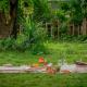 Circle, North goa - Fotografie 9
