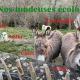 Gite De Lasbareilles, Narcastet (Foto 5)