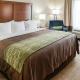 Comfort Inn & Suites West - Medical Center, Rochester (zdjęcie 3)
