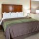 Comfort Inn & Suites West - Medical Center, Rochester (zdjęcie 4)