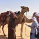 Alwaha safari hotel, Qasr Al Farafirah - 写真 8