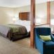 Comfort Inn & Suites West - Medical Center, Rochester (zdjęcie 7)