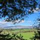 Oak Forest Cottage, Hacketstown