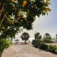 Studio for rent in the view 409, Hurghada (fotografie 5)