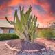 Truro Sun Lakes, Sun Lakes (photo 6)