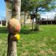 CasaAnacã Ecolounge, Bonito - Foto 2