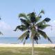 Beach Veedu Home stay Alleppey, Alleppey - Fotografie 10