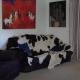 Cosy Unit 3 bdrms Two dogs live onsite with me, Waipapa - Fotografie 2