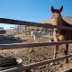 Nine Mile Ranch 4br, Views, Office, Fireplace, Wellington (fotografie 9)