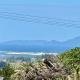 Driftwood, Te Arai (foto 3)