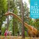 Travelers 15 min poiana brasov or bran castel ,5 min dino park rasnov, Râșnov - Foto 3