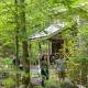 Beech Timber No Pet Fee, Beattyville (foto 5)
