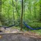 Beech Timber No Pet Fee, Beattyville (foto 9)