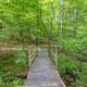 Beech Timber No Pet Fee, Beattyville (foto 10)