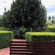Red Brier Villa, Richmond (foto 4)