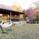 Soulshine, Beattyville (photo 3)