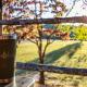 Soulshine, Beattyville (photo 7)