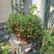 Duplex Terrasse cœur de Paris Montorgueil, Paris - Foto 4
