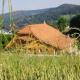 Ferme D Alma, Ocourt (фото 3)