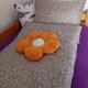 Apartment Natti, Sremska Kamenica (foto 2)