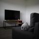 Ferienwohnung auf Aussiedlerhof mit Pferdepension, Gaienhofen - Foto 8