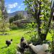 Stunning 1BR House in Camino Real, Urubamba - Fotografie 4