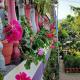 Royal Palm Homestay, Madikeri - Foto 8