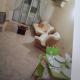 Beautiful 1-Bed House, Aglantzia (foto 7)