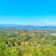 New KYS Resort, Haputale (photo 6)