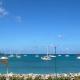 Les Paletuviers, Marigot