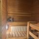 Park view city center studio with sauna, Helsinki (foto 5)