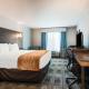 Comfort Inn & Suites East Ellijay - Foto 10