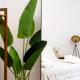 High-end Apartment in Bari Center, Bari (photo 5)