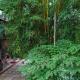 Manah Homestay Alleppey, アレッピー - 写真 4
