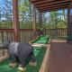 A Beary Good Time, Sevierville - Fotografie 8