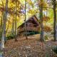 Bearfoots Cozy Cabin