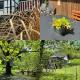 Alte Mühle- Das Ferienhaus im Grünen, 梅舍德 - 照片 3