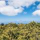 Holiday Home in Tenerife with Private Garden, La Corujera (foto 9)