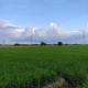 Praise Farmhouse - Private Farmhouse Staycation, Baliuag (foto 9)
