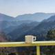 Mountain Golden Ray, マックトシュワー - 写真 5
