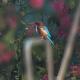 Neels camp Resorts, Panna - Fotografie 2