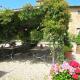 Apartment Linearis F by Interhome, SantʼAppiano (fotografie 5)
