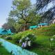 Forest Vibes Kalatop-Rooms and Restaurant, Dalhousie - Fotografie 5