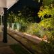 Frangipine Villa, Tapah (foto 9)