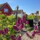 Ostsee - Reetdachhaus Nr 10 Reethus Sonnendüne im Strand Resort, 海利根港 - 照片 2