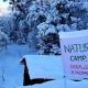 Camping at Natures Nest, Sari - Foto 8