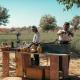 Brij Pola, Jawai - Luxury Jungle Camp with Private Pools, Jawāi Bāndh - Fotografie 6
